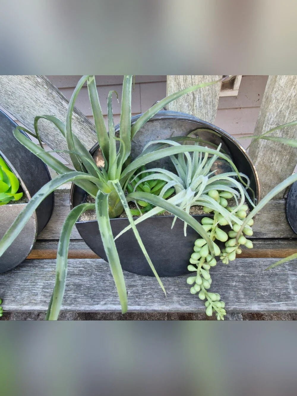 Hobby Lobby Set of 3 Metal Half Moon Wall Planters w/ Faux Succulents Home Decor
